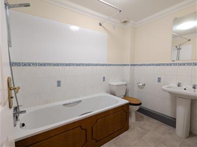 Picture 11